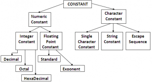 Constants in C Language - Computer Science Tutorial